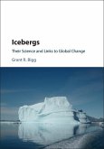 Icebergs (eBook, ePUB)
