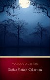 Gothic Fiction Collection (eBook, ePUB) Gothic Fiction Collection (eBook, ePUB)