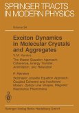 Exciton Dynamics in Molecular Crystals and Aggregates (eBook, PDF)