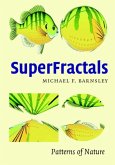 SuperFractals (eBook, PDF)