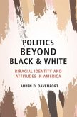 Politics beyond Black and White (eBook, PDF)