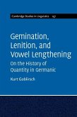 Gemination, Lenition, and Vowel Lengthening (eBook, ePUB)