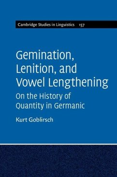 Cover Gemination, Lenition, and Vowel Lengthening (eBook, ePUB)