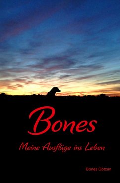 Bones (eBook, ePUB) - Götzen, Marc