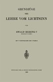 Grundzüge der Lehre vom Lichtsinn (eBook, PDF)