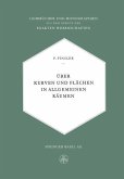 Über Kurven und Flächen in allgemeinen Räumen (eBook, PDF)