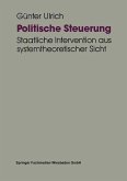 Politische Steuerung (eBook, PDF)