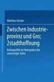 Zwischen Industrieprovinz und Großstadthoffnung (eBook, PDF)