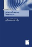 Unternehmensflexibilität (eBook, PDF)