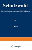 Schutzwald (eBook, PDF)