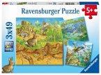 Ravensburger Kinderpuzzle - 08050 Tiere in ihren Lebensräumen - Puzzle für Kinder ab 5 Jahren, mit 3x49 Teilen