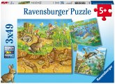 Ravensburger Kinderpuzzle - 08050 Tiere in ihren Lebensräumen - Puzzle für Kinder ab 5 Jahren, mit 3x49 Teilen Ravensburger Kinderpuzzle - 08050 Tiere in ihren Lebensräumen - Puzzle für Kinder ab 5 Jahren, mit 3x49 Teilen