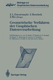 Geometrische Verfahren der Graphischen Datenverarbeitung (eBook, PDF)