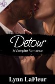 Detour (eBook, ePUB)