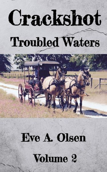 Crackshot: Troubled Waters (eBook, ePUB)
