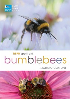 RSPB Spotlight Bumblebees (eBook, ePUB) - Comont, Richard