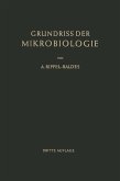 Grundriss der Mikrobiologie (eBook, PDF)
