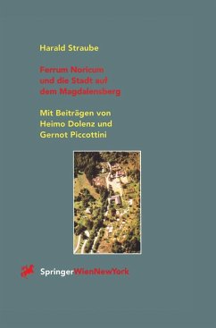 Ferrum Noricum und die Stadt auf dem Magdalensberg (eBook, PDF) - Straube, Harald