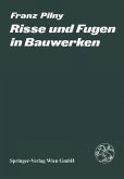 Risse und Fugen in Bauwerken (eBook, PDF)