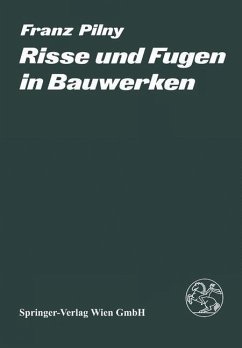 Risse und Fugen in Bauwerken (eBook, PDF) - Pilny, F.