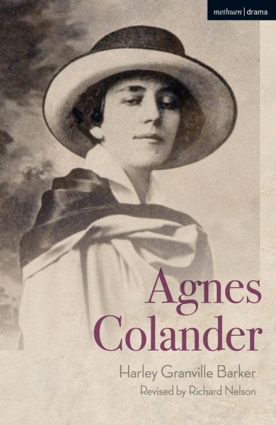 Agnes Colander (eBook, PDF)