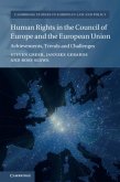 Human Rights in the Council of Europe and the European Union (eBook, PDF)