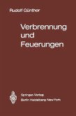 Verbrennung und Feuerungen (eBook, PDF)