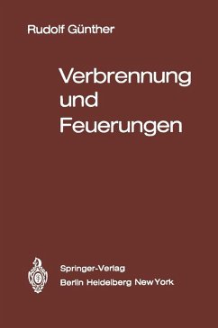 Cover Verbrennung und Feuerungen (eBook, PDF)