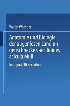 Anatomie und Biologie der augenlosen Landlungenschnecke Caecilioides acicula Müll (eBook, PDF) - Wächtler, Walter