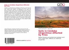 Soils in Córdoba (Argentina) Affected by Fires - Rubenacker, Andrea;Ceppi, Silvia