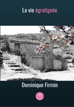 La vie égratignée (eBook, ePUB) - Firmin, Dominique