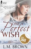 One Perfect Wish (eBook, ePUB)