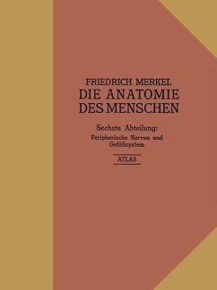 Atlas zu Peripherische Nerven und Gefäßsystem (eBook, PDF) - Merkel, Friedrich