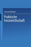 Praktische Forstwirthschaft (eBook, PDF)