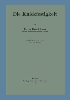 Cover Die Knickfestigkeit (eBook, PDF)