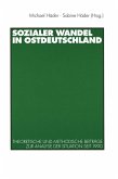 Sozialer Wandel in Ostdeutschland (eBook, PDF)