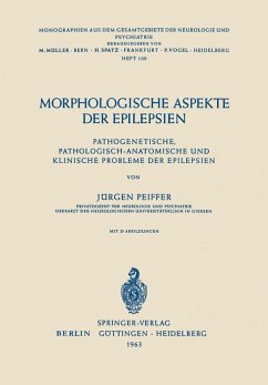 Cover Morphologische Aspekte der Epilepsien (eBook, PDF)