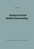 Grundlagen einer Theorie betrieblicher Datenverarbeitung (eBook, PDF)