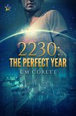 2230: The Perfect Year (eBook, ePUB)