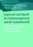 Gegenwart und Zukunft des Sozialmanagements und der Sozialwirtschaft (eBook, ePUB)