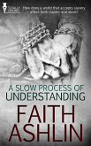 A Slow Process of Understanding (eBook, ePUB)