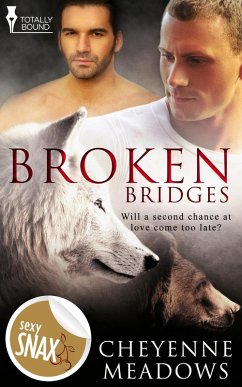 Broken Bridges (eBook, ePUB) - Meadows, Cheyenne