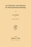 Zur Orthologie und Pathologie der Rückenmarksdurchblutung (eBook, PDF)