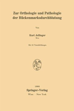 Zur Orthologie und Pathologie der Rückenmarksdurchblutung (eBook, PDF) - Jellinger, Kurt