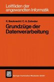 Grundzüge der Datenverarbeitung (eBook, PDF)