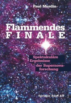Cover Flammendes Finale (eBook, PDF)