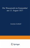 Die Wassernoth im Emmenthal am 13. August 1837 (eBook, PDF)