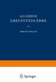 Allgemeine Erkenntnislehre (eBook, PDF)