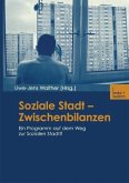 Soziale Stadt - Zwischenbilanzen (eBook, PDF)