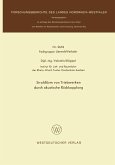 Strahllärm von Triebwerken durch akustische Rückkopplung (eBook, PDF)